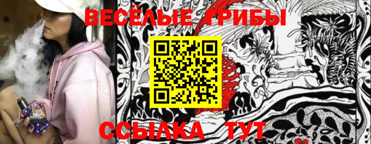 Псилоцибиновые грибы Cubensis  Псилоцибиновые грибы ЛСД  Ярославль  Вход с VPN 