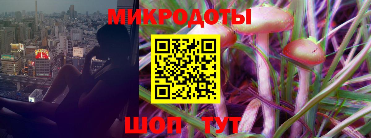 Галлюциногенные грибы MAGIC MUSHROOMS Ярославль